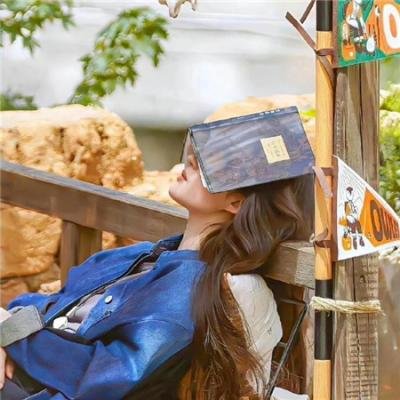 哈利波特:凤凰会的密令